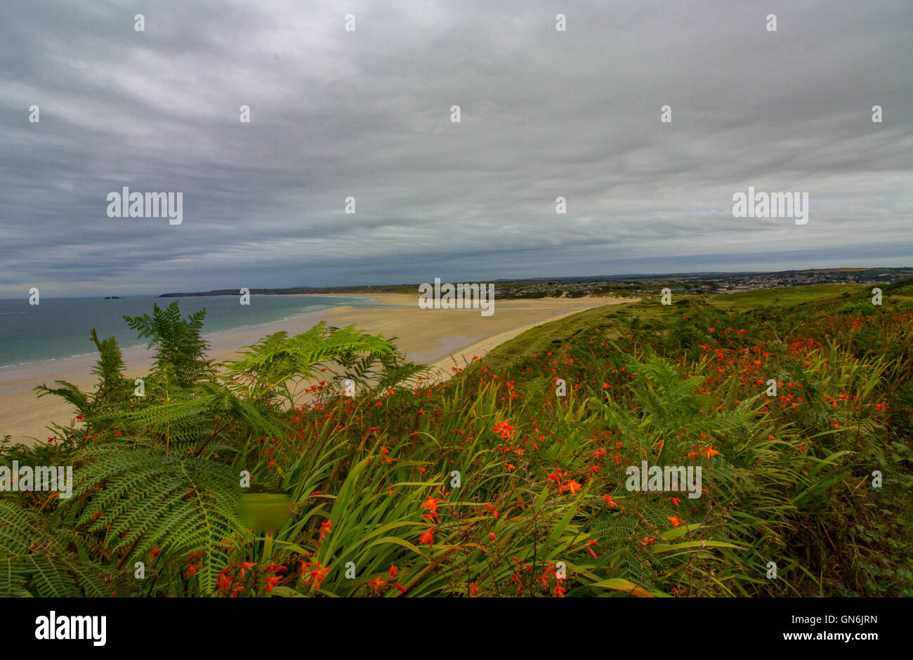 Rene: Porth Beach, Lelant raffigurato da Sud ovest via costiera in Cornovaglia. Moody nuvole raccogliere oltre i fiori selvatici. Foto Stock