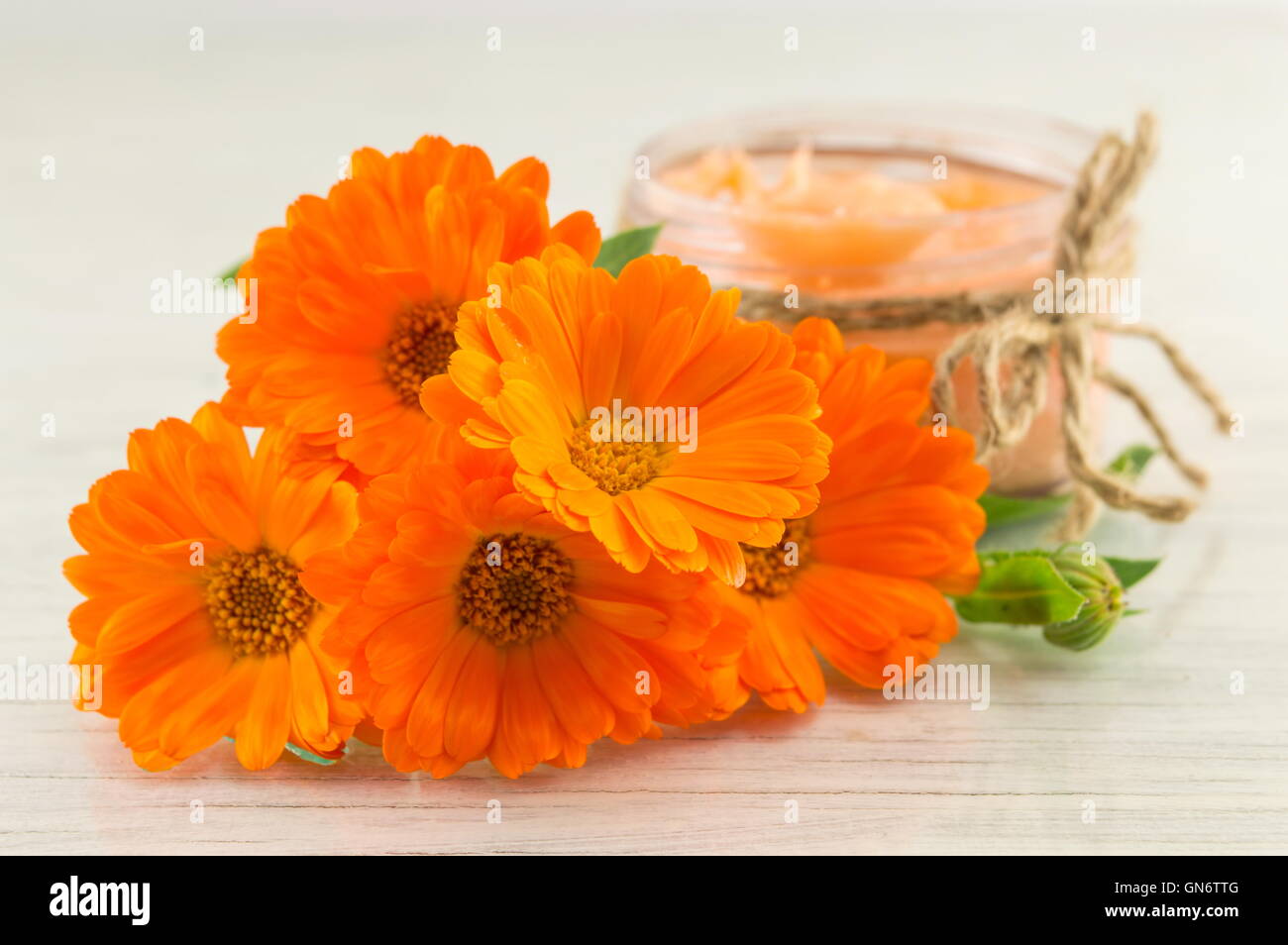 Calendula crema con un fresco bouquet di fiori. cosmesi naturale Foto Stock
