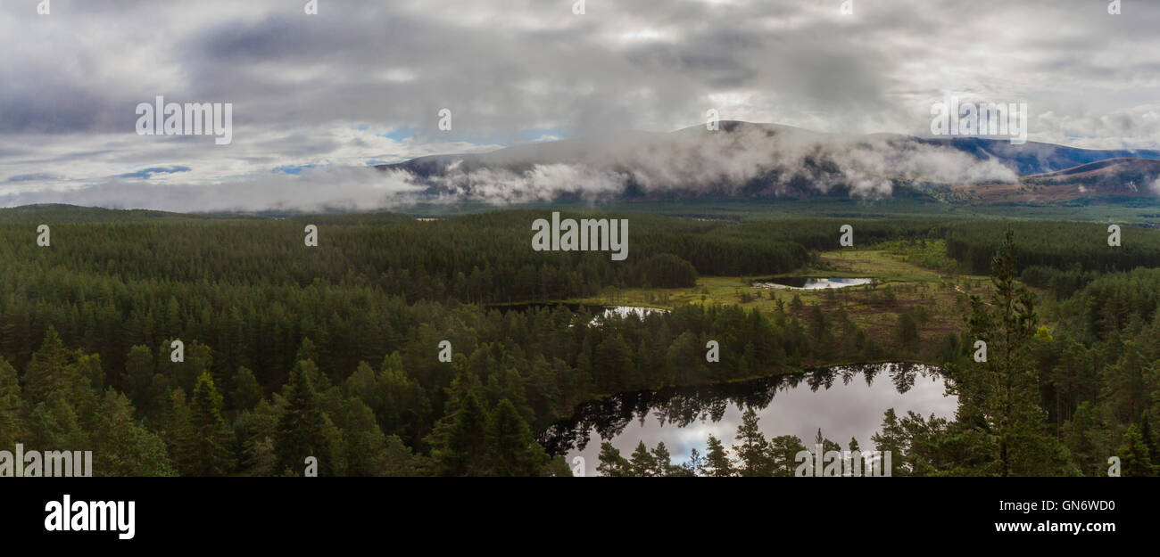 Uath Lochan e Glen Feshie, Scozia, nella nebbia Foto Stock