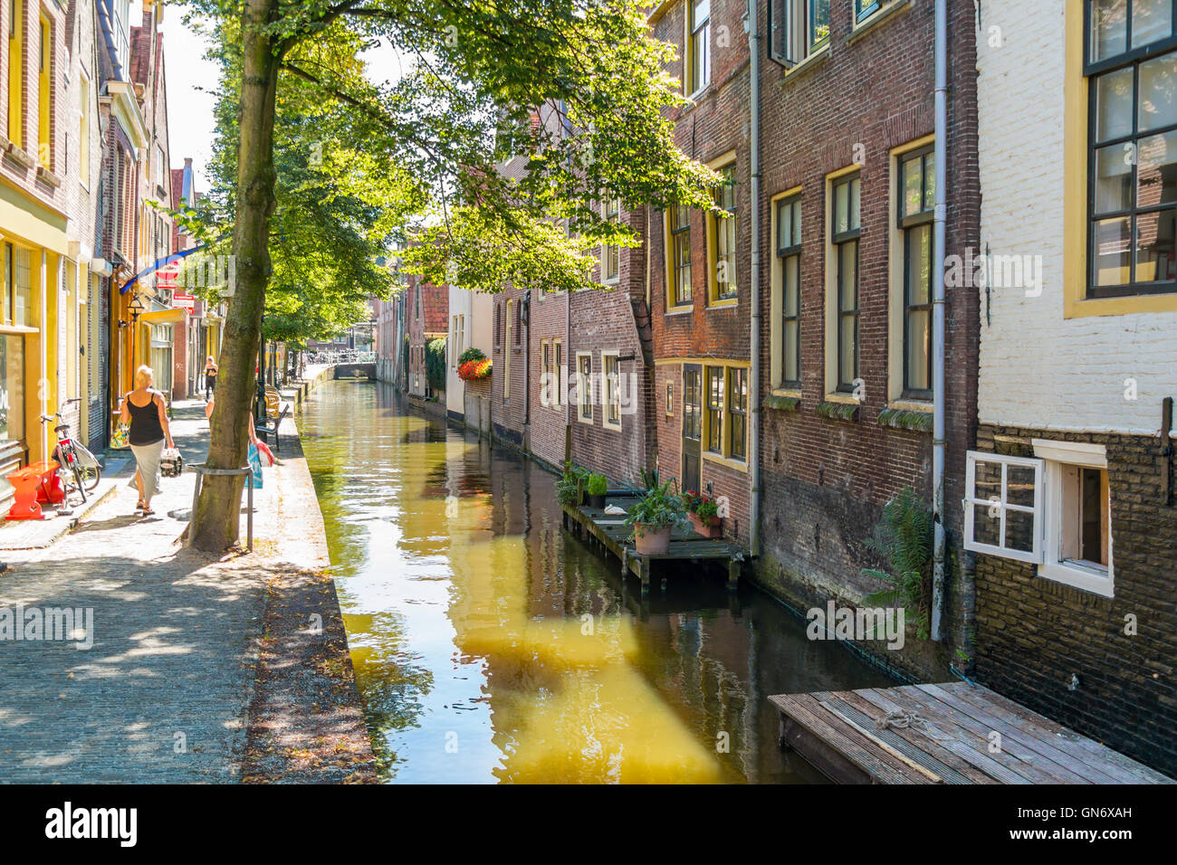 Case e quay di Kooltuin canal di Alkmaar, North Holland, Paesi Bassi Foto Stock