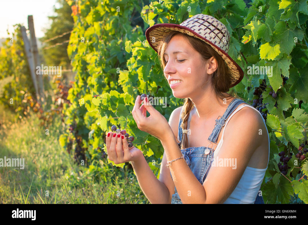 Donna felice godendo di uve fresche in vigna Foto Stock