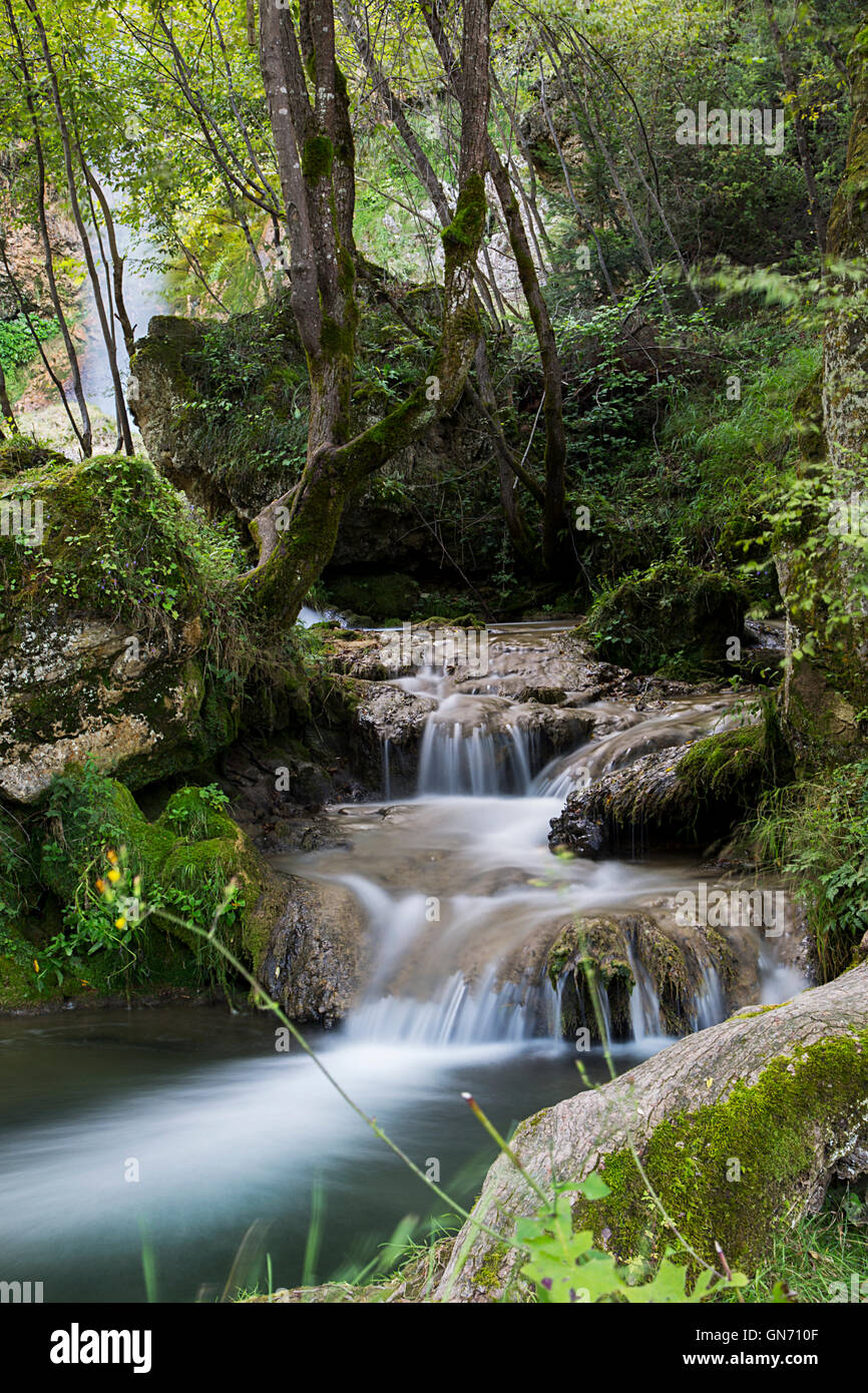 Vista la piccola cascata di acqua nella foresta Foto Stock
