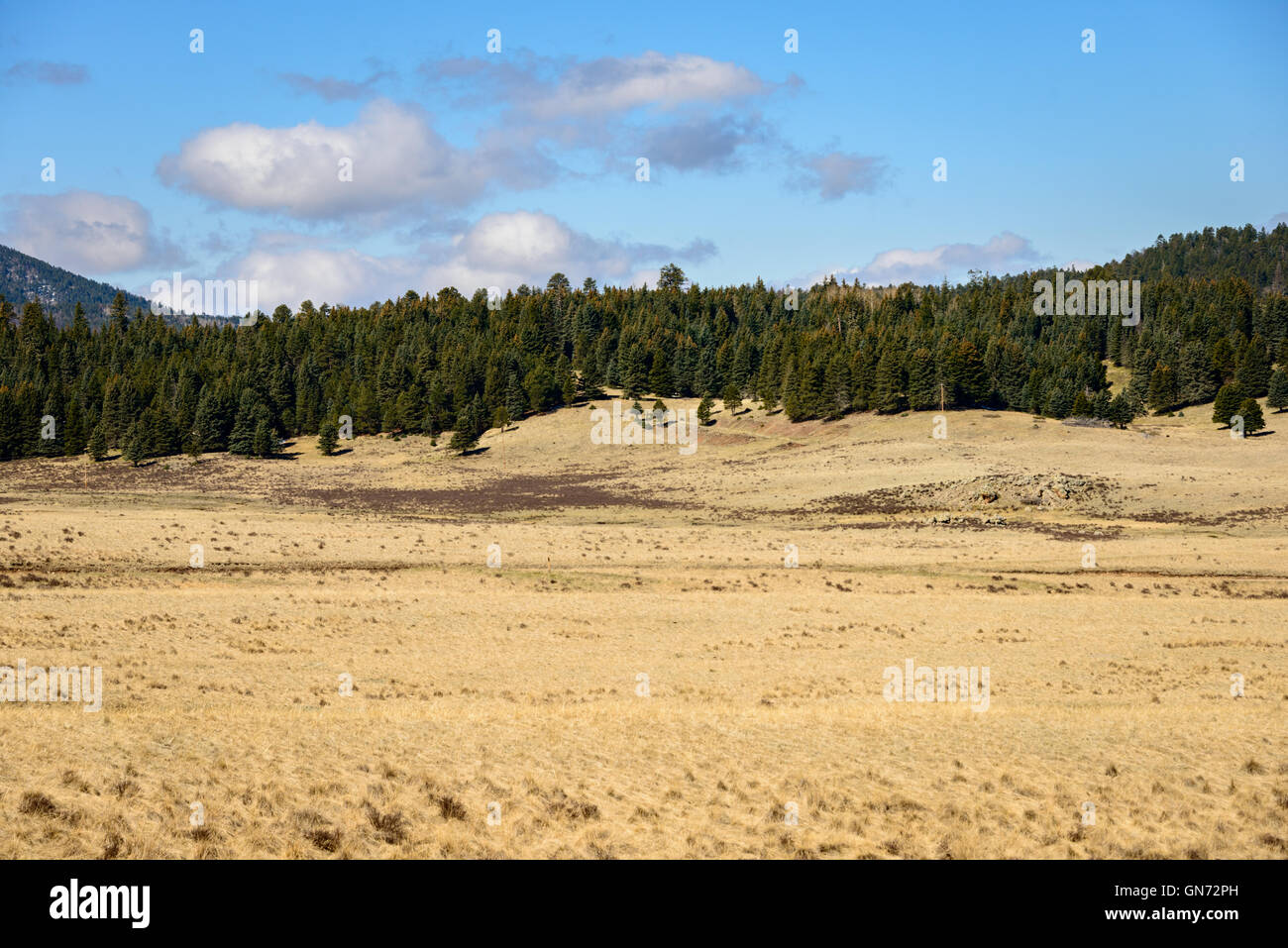 Valles Caldera National Preserve Foto Stock