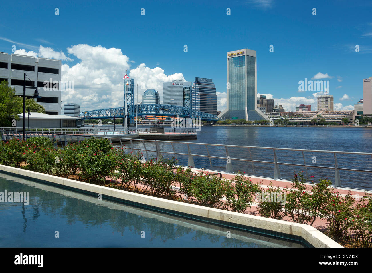 SKYLINE DEL CENTRO SAINT JOHNS RIVER Jacksonville in Florida USA Foto Stock