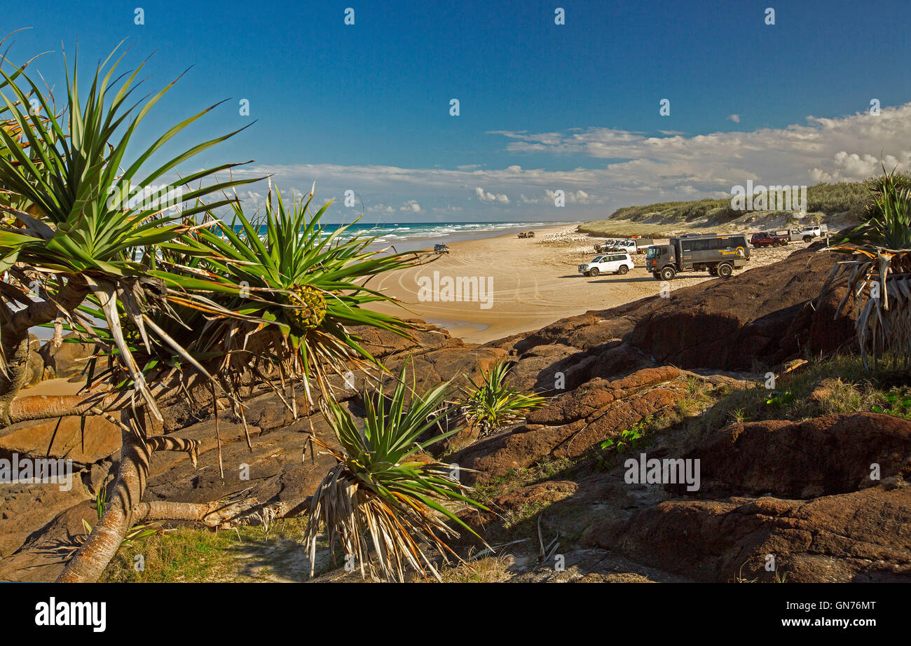 Vasto 75-Mile beach ocean, rocce e alberi di pandanus vicino a Indian Head su Fraser Island con veicoli su strada inusuale, cielo blu Foto Stock