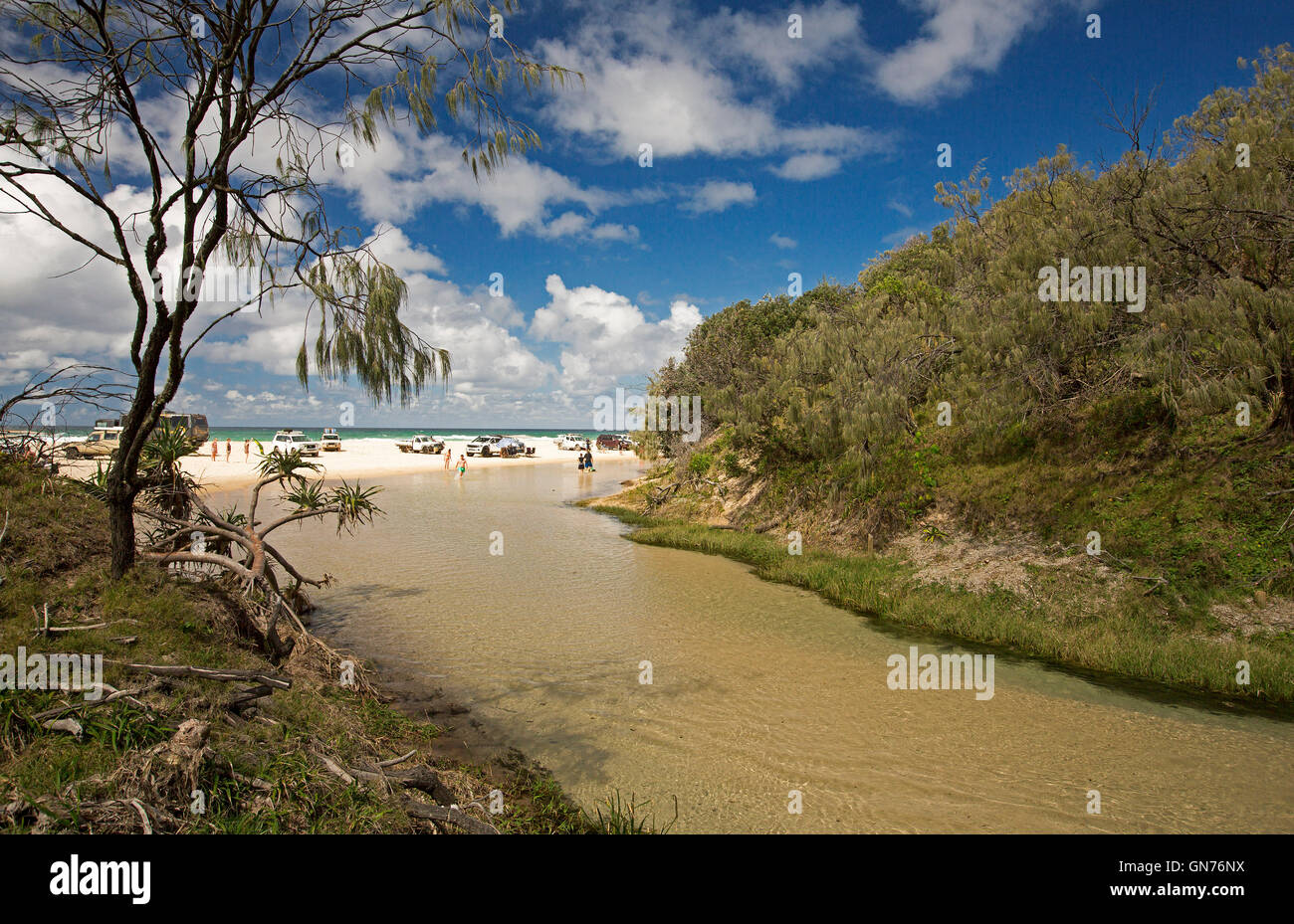 Gruppo di veicoli a trazione integrale e la gente sulla spiaggia di sabbia a fianco di Eli Creek con altri trampolieri in acque poco profonde su Fraser Island Foto Stock