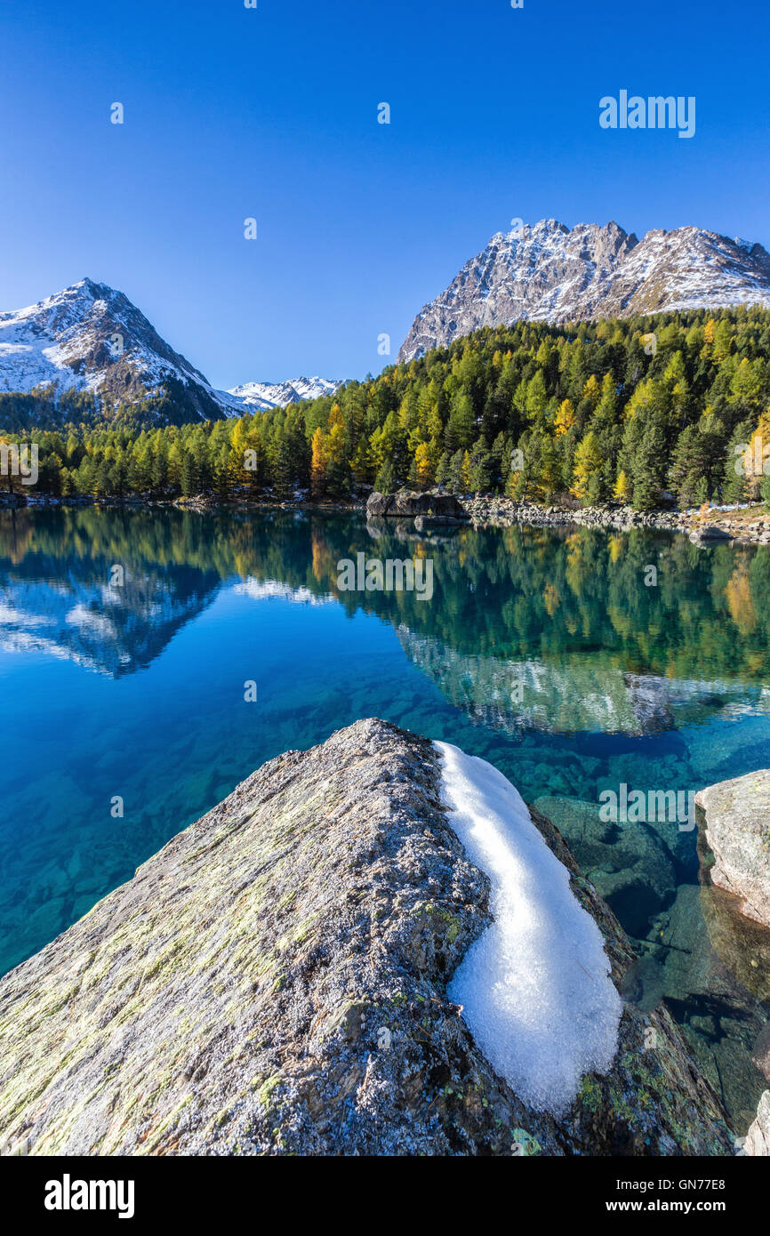 Boschi colorati riflessa nelle acque blu del lago di Saoseo Val Poschiavo Canton Grigioni Svizzera Europa Foto Stock