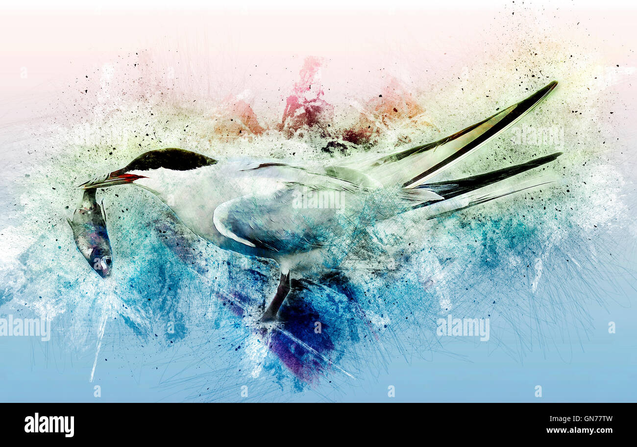 Tern comune (Sterna hirundo) adulto sulla spiaggia con un pesce nel suo conto. Questo uccello si trova nel sub-regioni artiche dell Euro Foto Stock