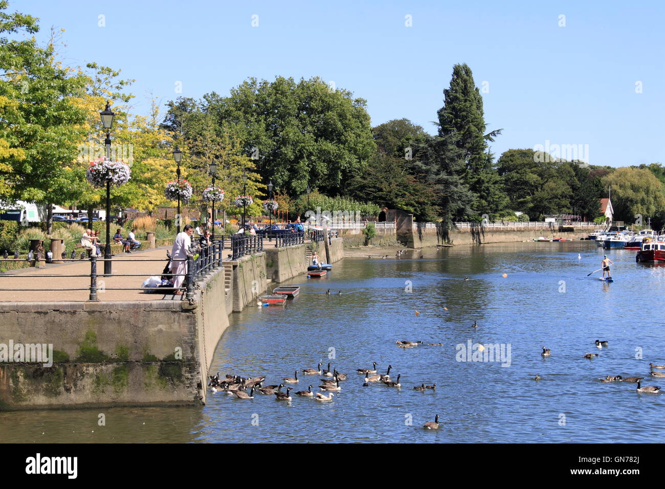 Il fiume Tamigi Embankment, Twickenham, Greater London, England, Gran Bretagna, Regno Unito Regno Unito, Europa Foto Stock