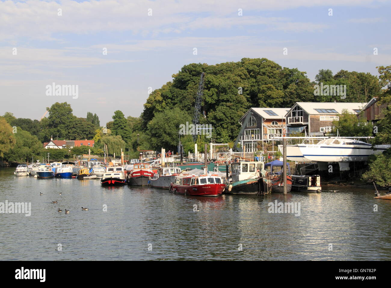 Eel Pie Island, Twickenham, Greater London, England, Gran Bretagna, Regno Unito Regno Unito, Europa Foto Stock