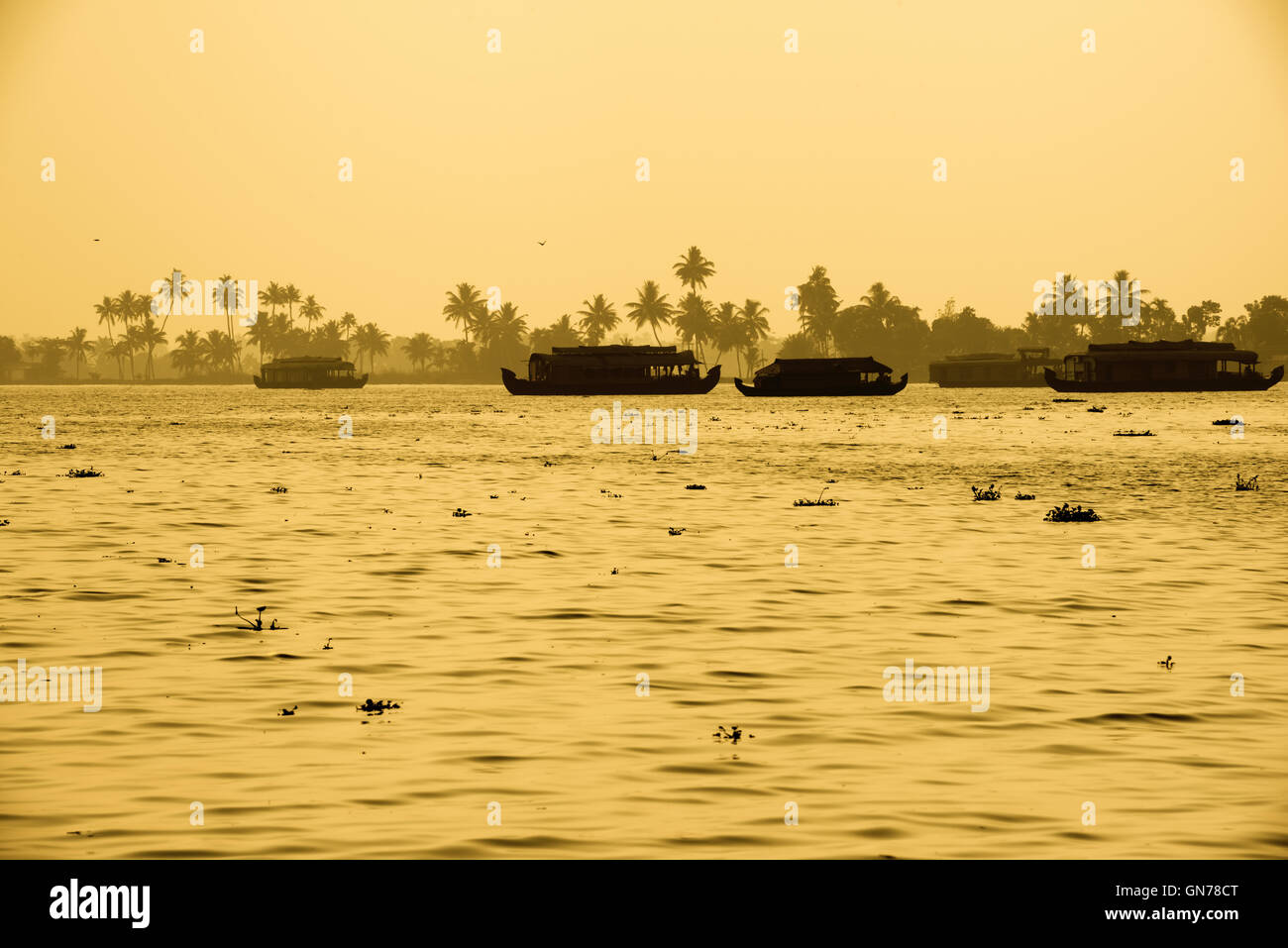 Bel tramonto paesaggio con case galleggianti in Kerala backwaters e silhouette di palme, viaggi sfondo, India, tonica st Foto Stock