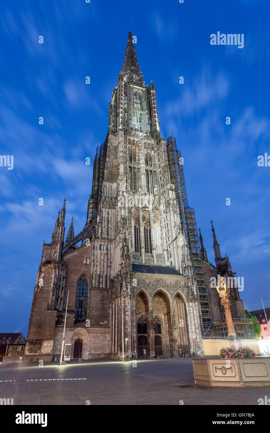 Ulm Munster durante la notte, Germania Foto Stock