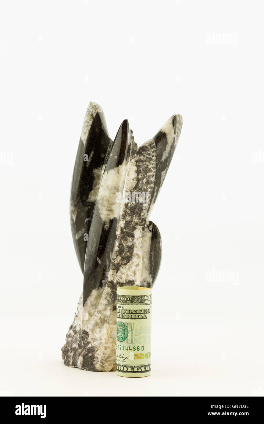 Tempo collaudate strategie finanziarie sono simboleggiati dalla moneta americana poste nella parte anteriore del rock con embedded fossili. Foto Stock