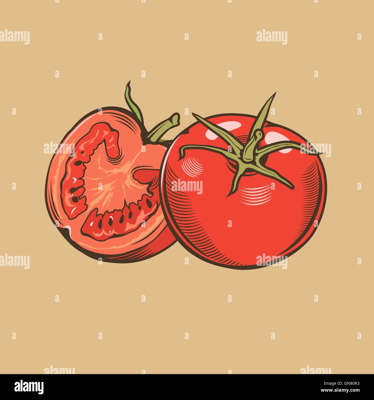 I pomodori in stile vintage. Colorata illustrazione vettoriale Illustrazione Vettoriale