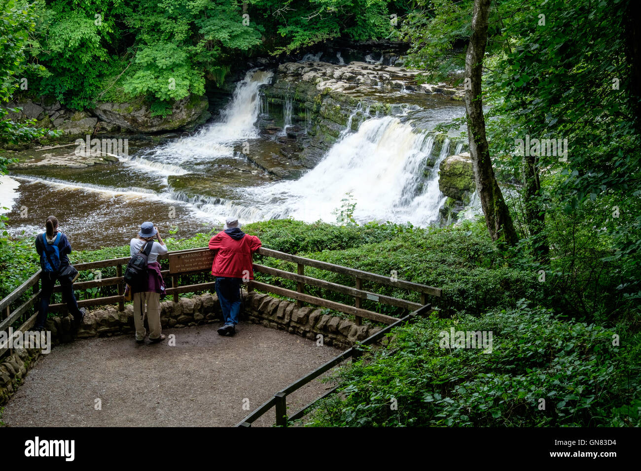 Turisti alla Aysgarth Falls, Wensleydale nel Yorkshire Dales. Foto Stock