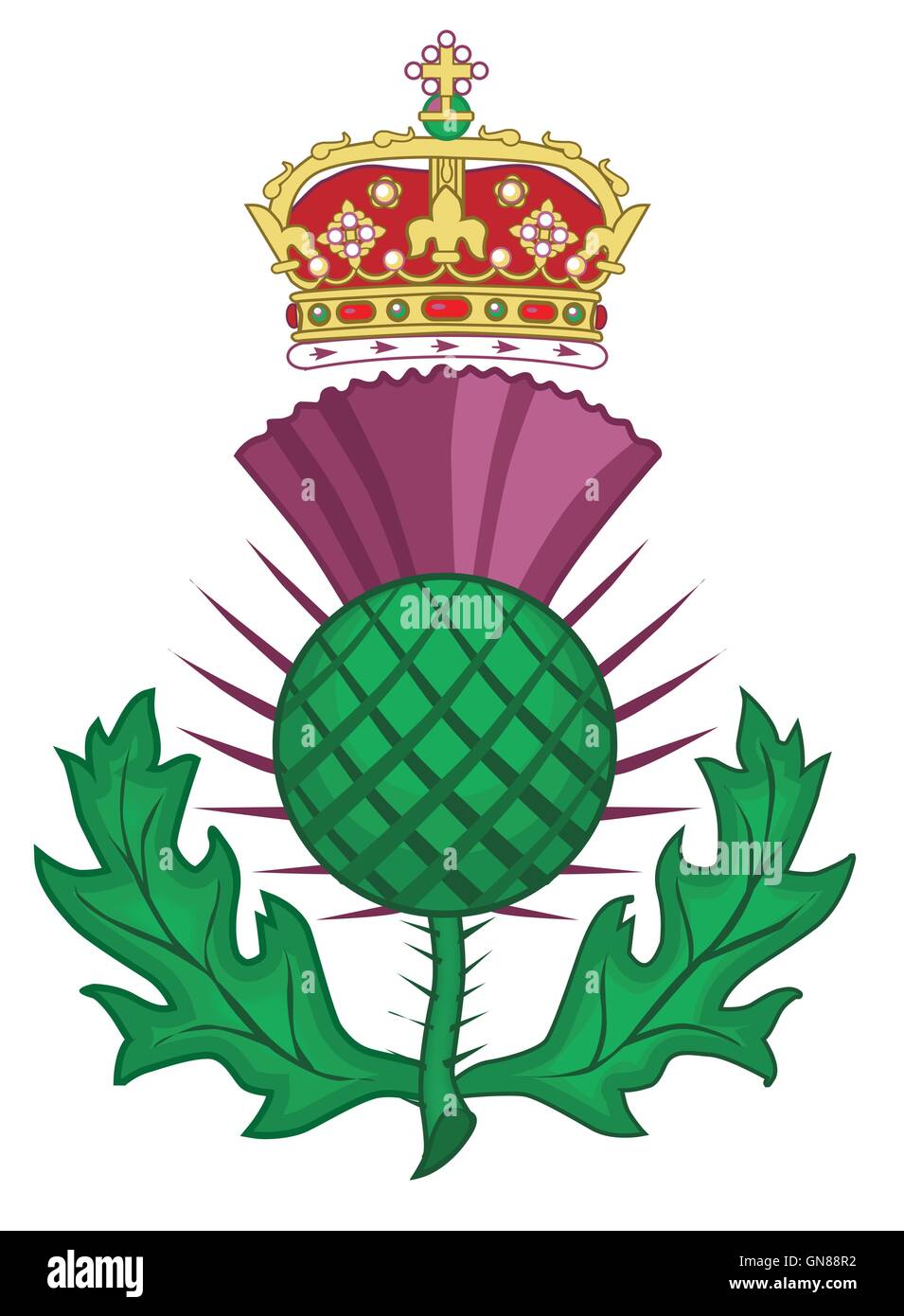 Thistle simbolo della Scozia Illustrazione Vettoriale