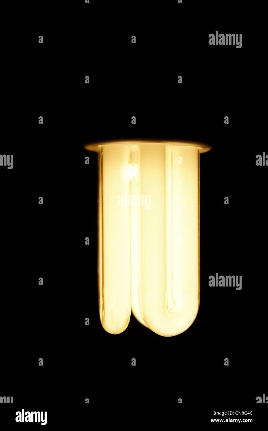 Cfl fluorescenti compatte a risparmio energetico per lampade Foto Stock
