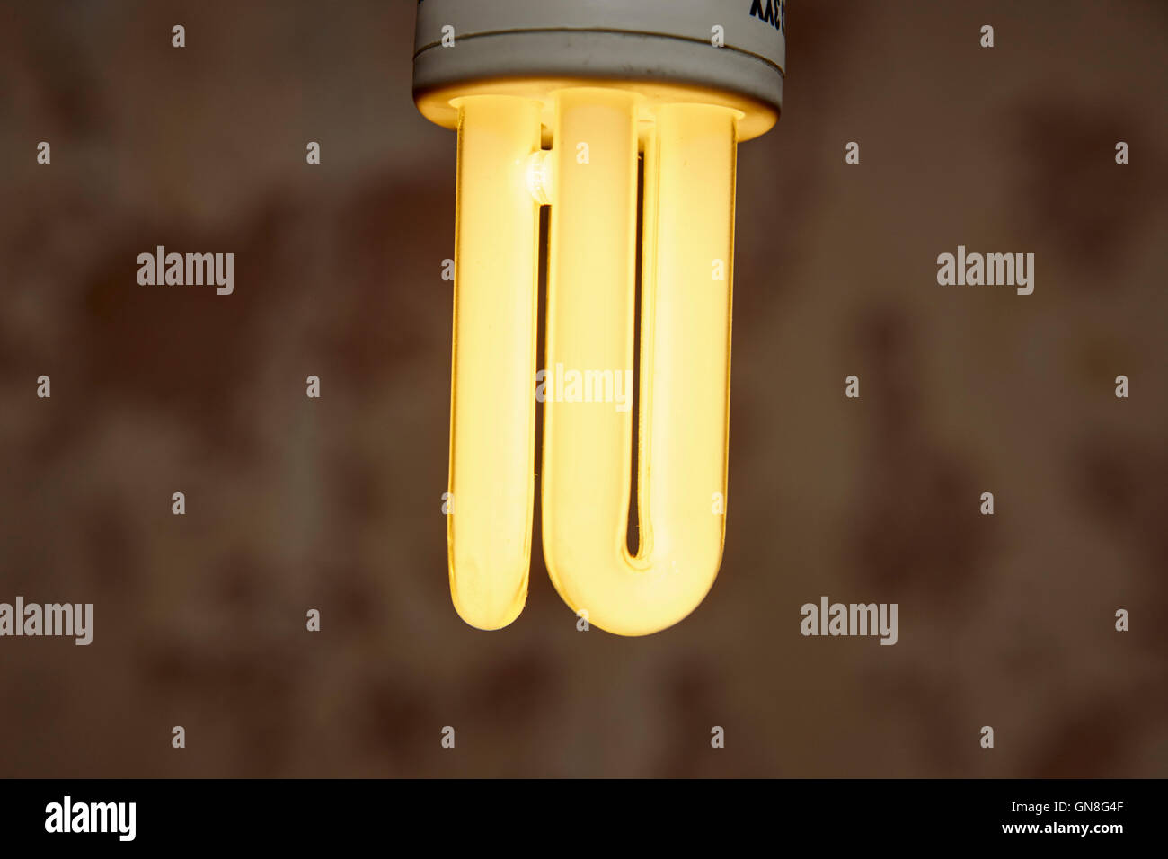 Cfl fluorescenti compatte a risparmio energetico per lampade Foto Stock