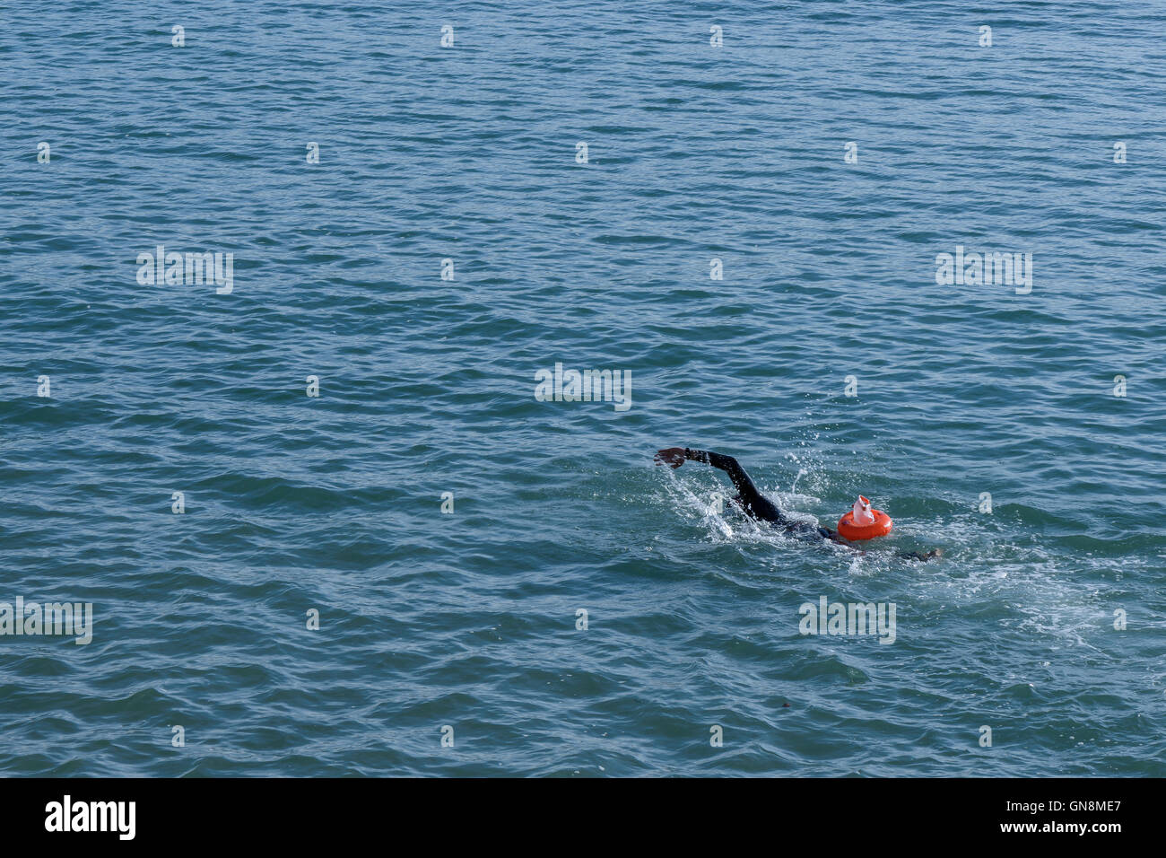 Uomo a nuotare in mare con la tuta in neoprene e un piccolo galleggiante rosso sulla Spiaggia di Santona, Cantabria, Spagna. Foto Stock