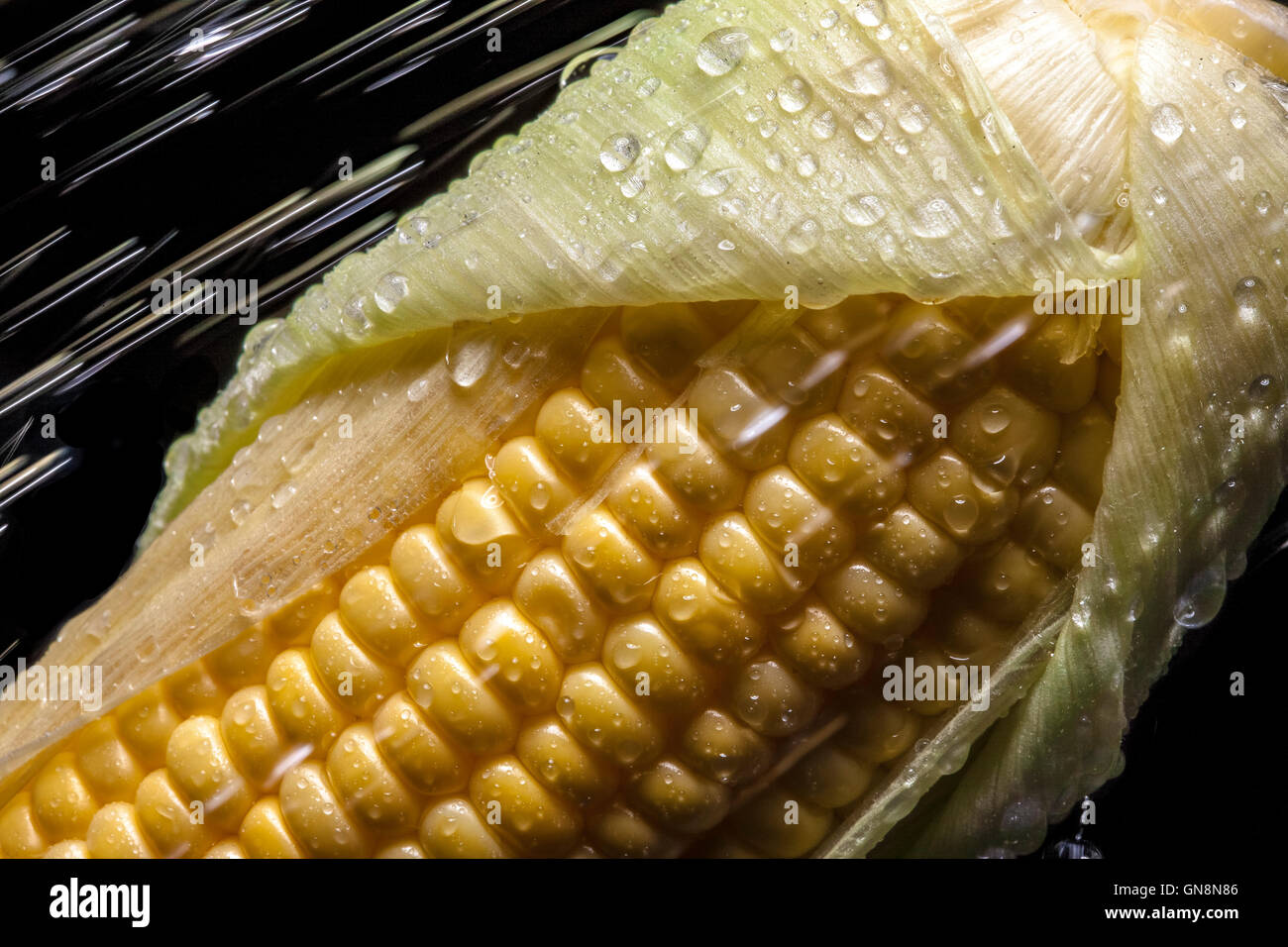 Mais in schizzi su sfondo nero. Close-up. Una serie di frutta e verdura in movimento. Foto Stock