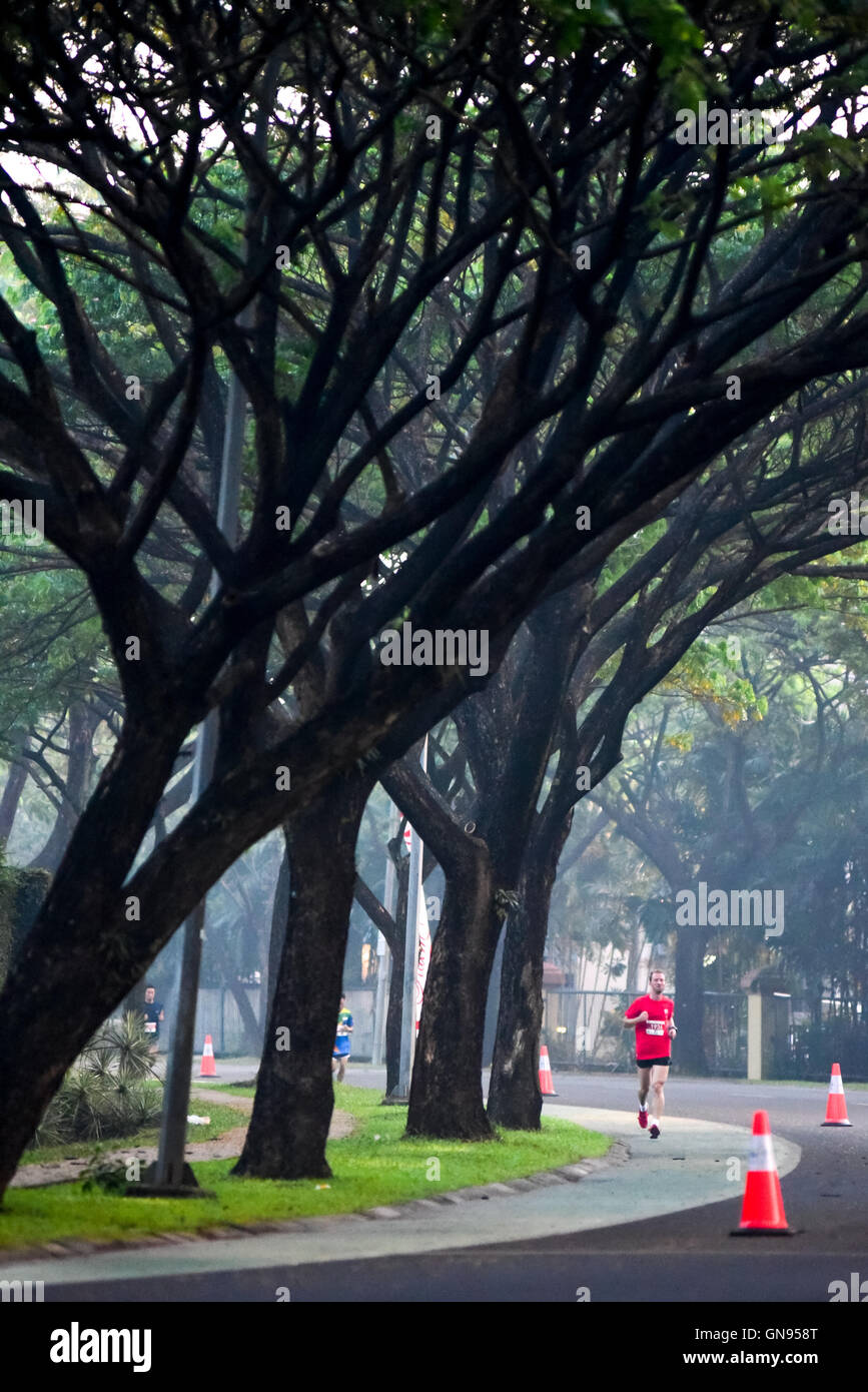 I partecipanti corrono su una strada, passando sotto grandi alberi durante la corsa del Titan 2016 a Tangerang Sud, Banten, Indonesia. Foto Stock