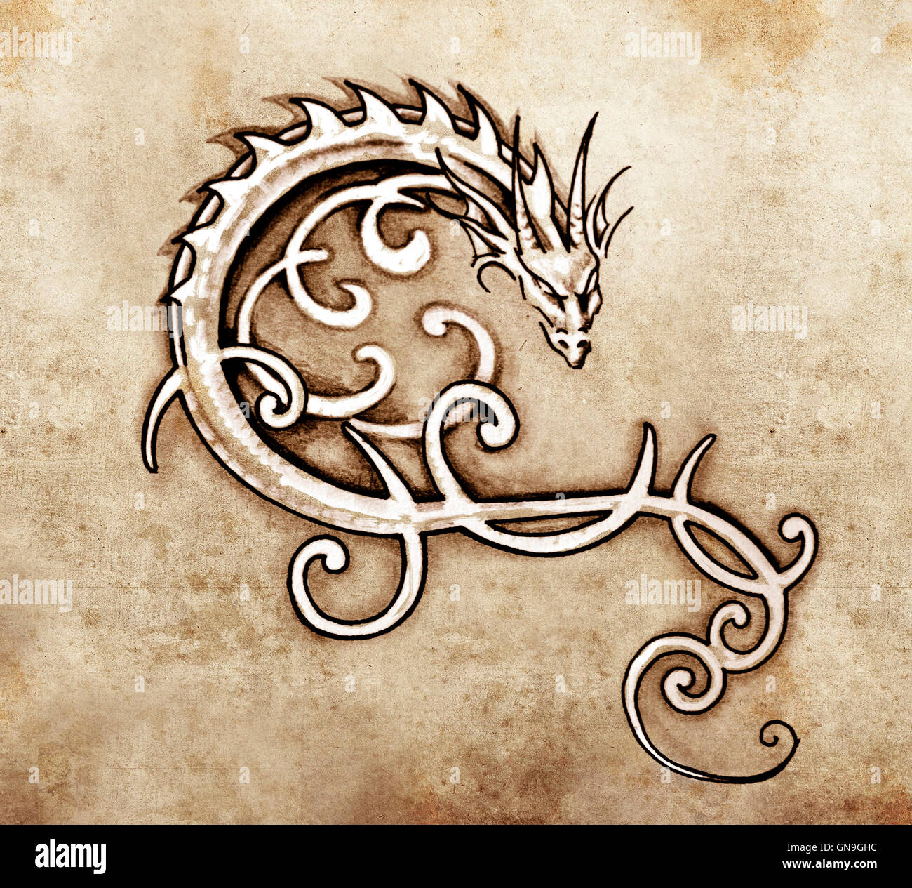 Schizzo di arte del tatuaggio, decorativi dragon Foto Stock