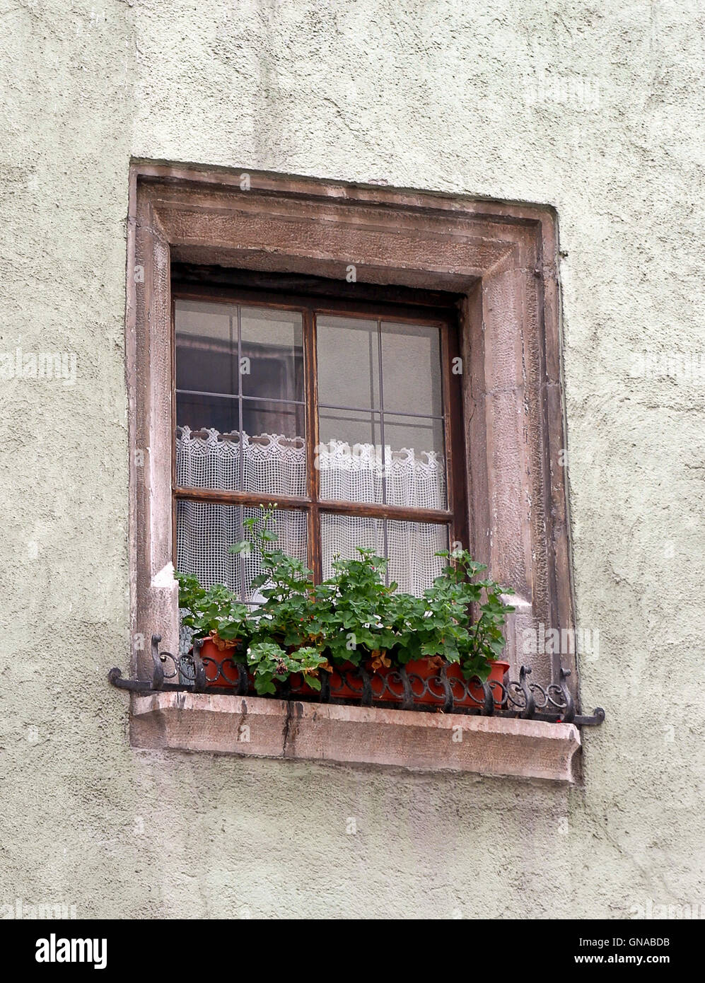 Vecchia finestra con cassetta per fiori e la tendina di pizzo Foto Stock