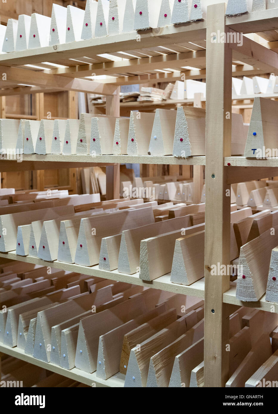 La foresta di Paneveggio, Dolomiti, Italia. Billette di abete rosso (Picea abies Karst) utilizzato per la fabbricazione dei violini Foto Stock