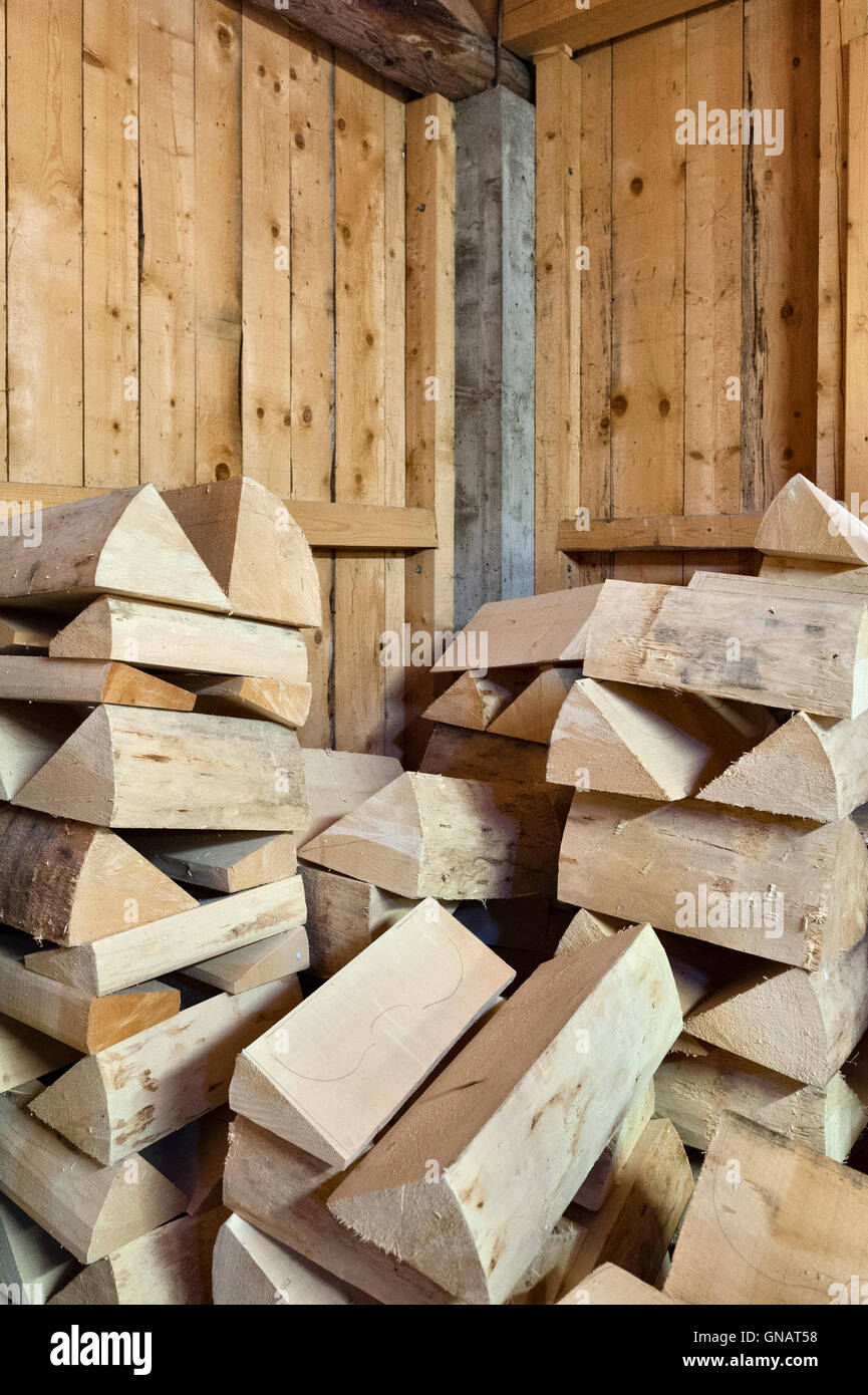 La foresta di Paneveggio, Dolomiti, Italia. Billette di abete rosso (Picea abies Karst) utilizzato per la fabbricazione dei violini Foto Stock