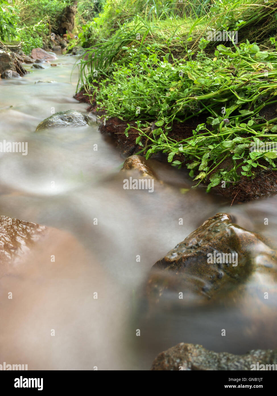 Rock all'interno di un flusso in cui l'acqua è sfocata utilizzando una lenta velocità otturatore Foto Stock
