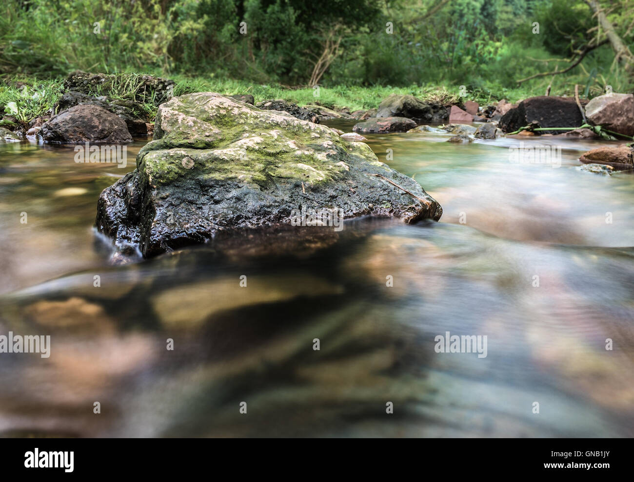 Rock all'interno di un flusso in cui l'acqua è sfocata utilizzando una lenta velocità otturatore Foto Stock