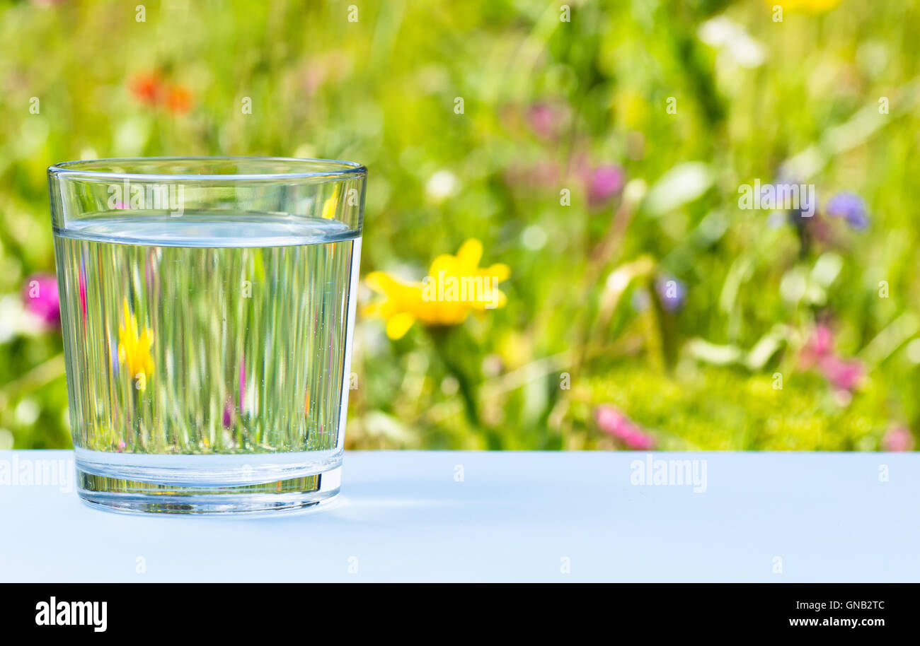 Bicchiere di acqua sul prato erboso sfondo Foto Stock