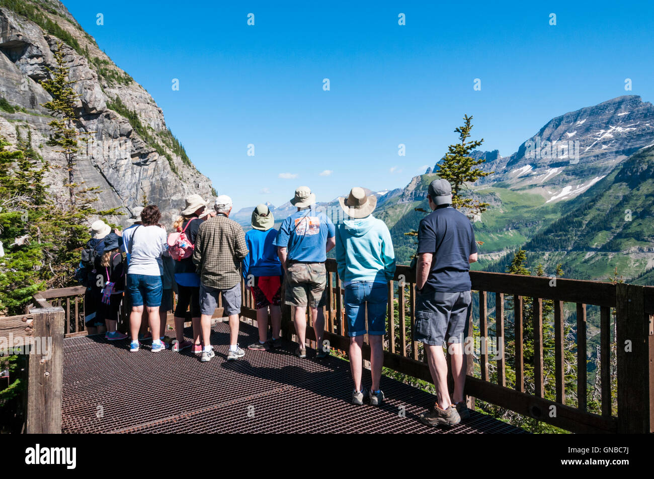 I turisti guardando la vista dalla curva di Oberlin si affacciano sul corso-per-il-Sun Road nel Glacier National Park. Foto Stock