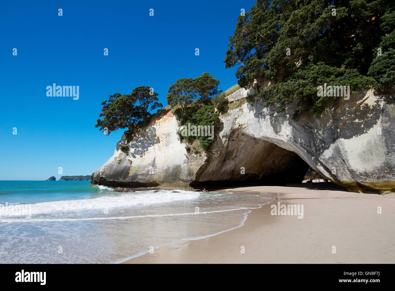 Cattedrale Cove Foto Stock
