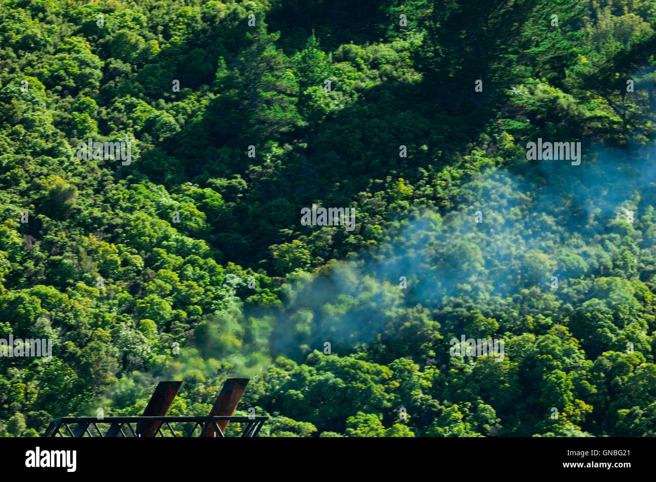 Clima inquinamento gas concetto, fumo e foresta Foto Stock