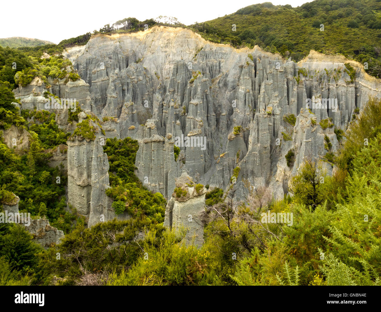 Badlands hoodoos di Putangirua pinnacoli, NZ Foto Stock