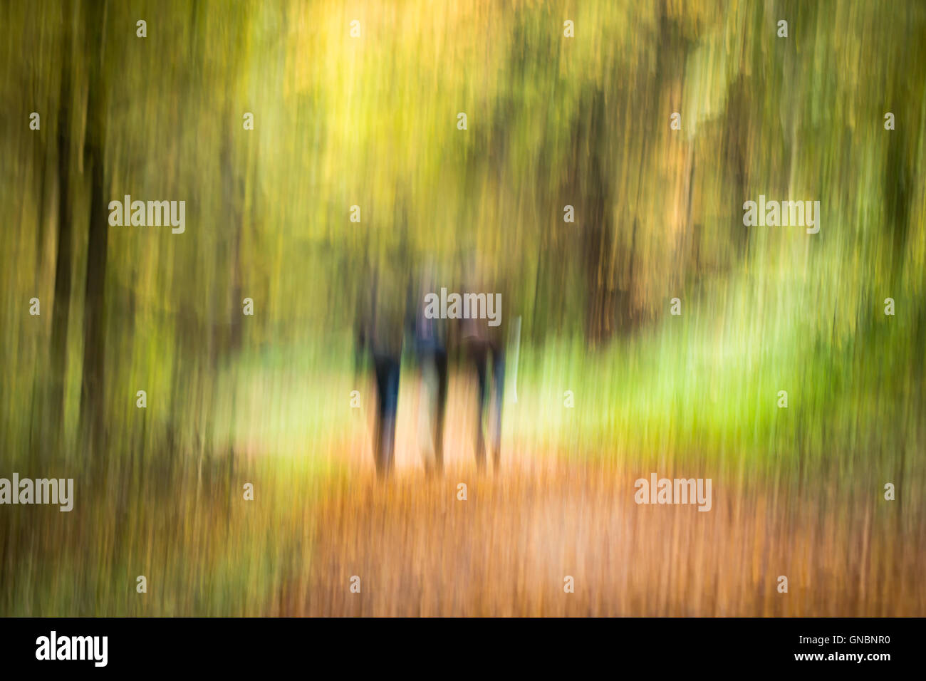 Immagine artistica di tre uomini a piedi attraverso una foresta Foto Stock