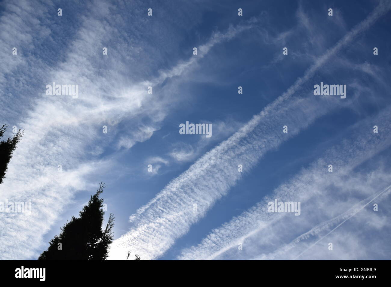 Chemtrails contro il cielo blu. Foto Stock