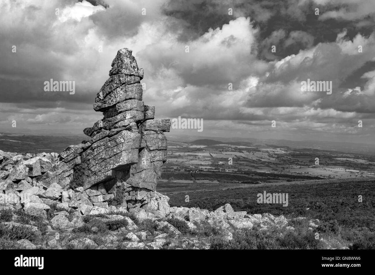 La brughiera sull'Stiperstones Riserva Naturale Nazionale in monocromatico, Shropshire, Inghilterra, Regno Unito Foto Stock