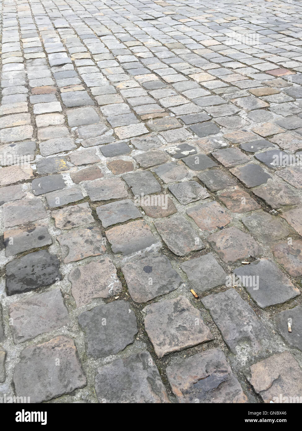 Tipica parigina lastricatori nella strada di Parigi, Francia Foto Stock