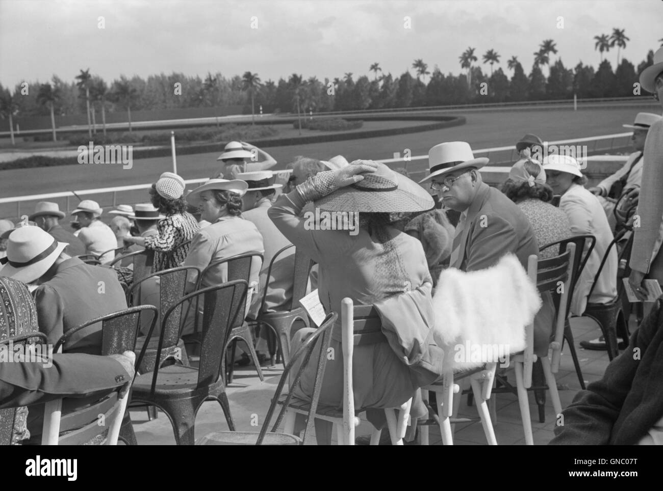 Gli spettatori a cavallo di razza, Hialeah Park, Miami, Florida, Stati Uniti d'America, Marion Post Wolcott per la Farm Security Administration, Marzo 1939 Foto Stock