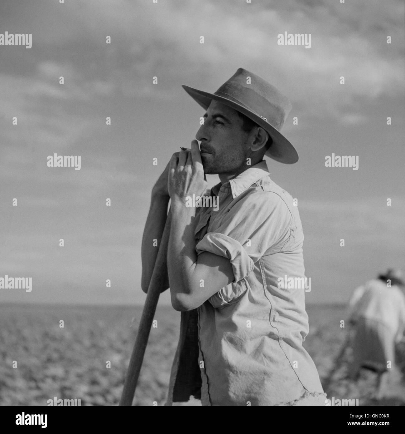 Farmer taking a Cigarette Break from Hoeing Cotton, Allen Plantation cooperative Association, vicino a Natchitoches, Louisiana, USA, Marion Post Wolcott, STATI UNITI Farm Security Administration, giugno 1940 Foto Stock