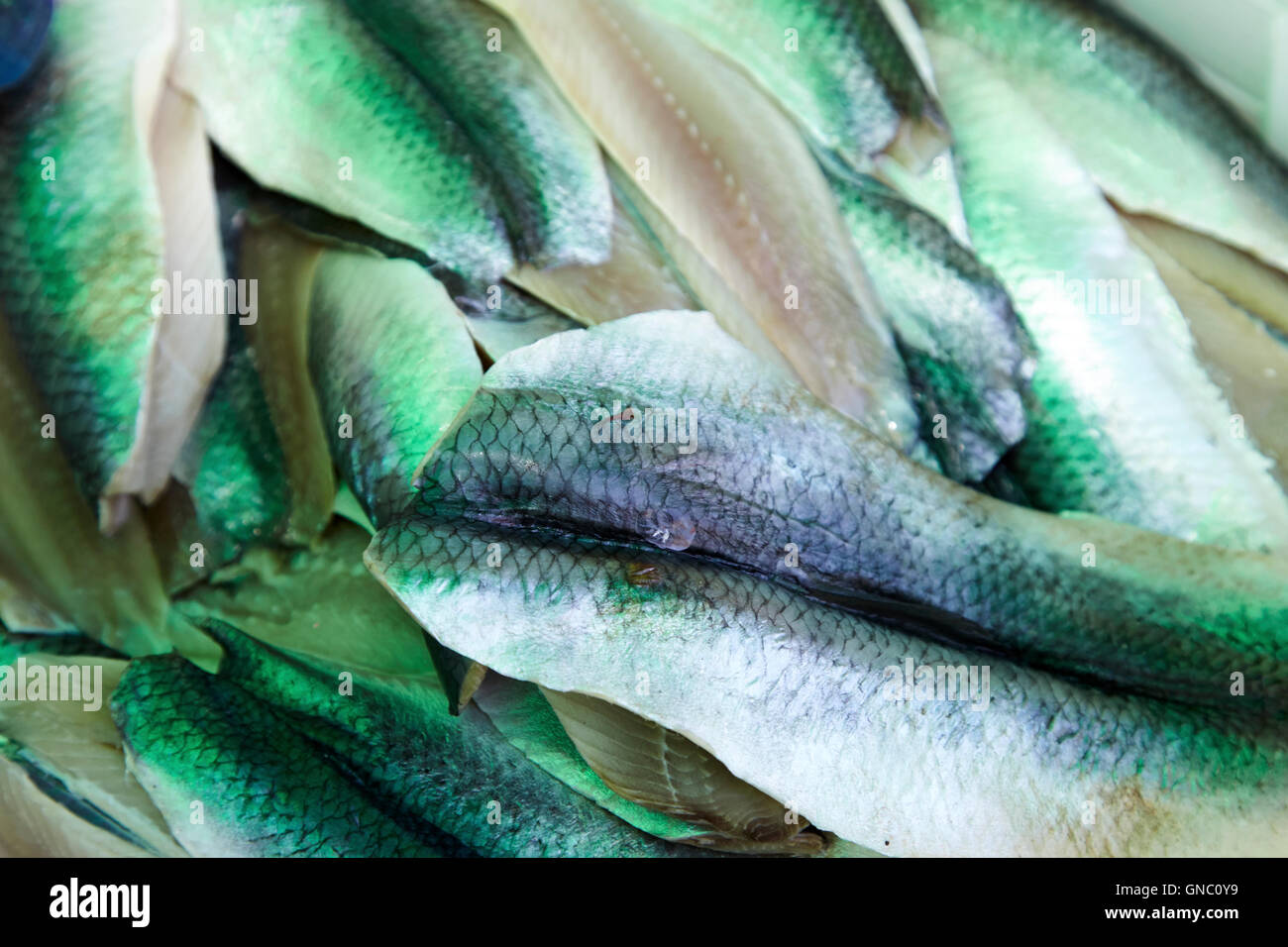 Aringa freschi i filetti di pesce Foto Stock