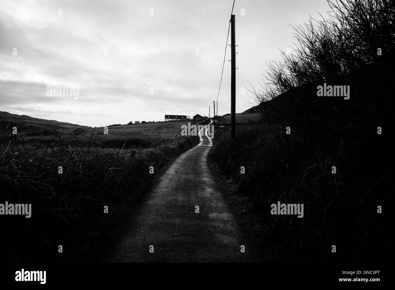 Wet strada rurale contro il cielo nuvoloso, Irlanda Foto Stock