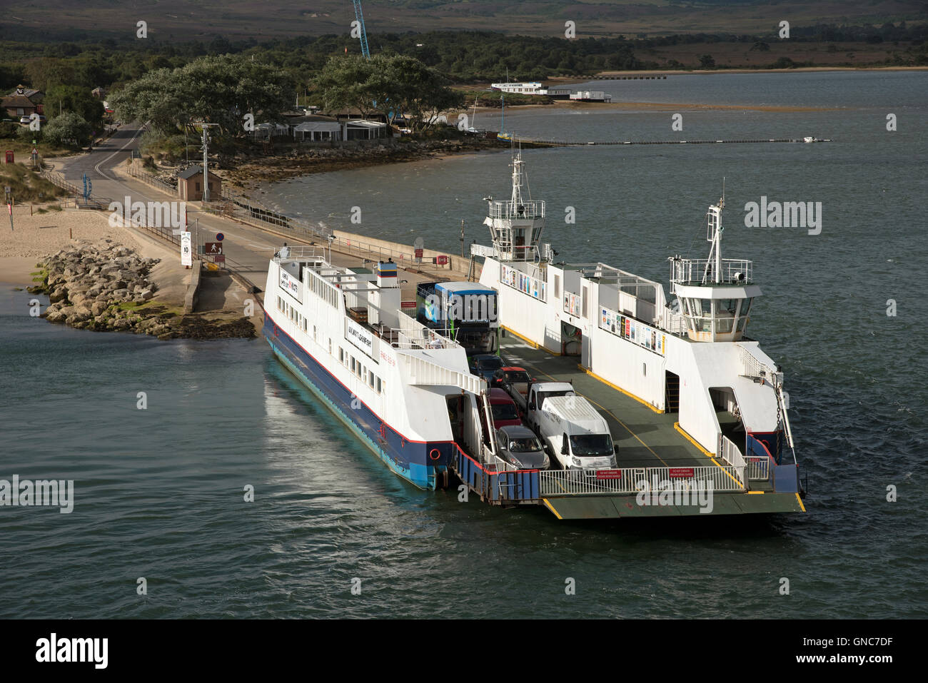 Le barene a Studland veicolare in attesa del traghetto per attraversare l'ingresso al porto di Poole Inghilterra REGNO UNITO Foto Stock