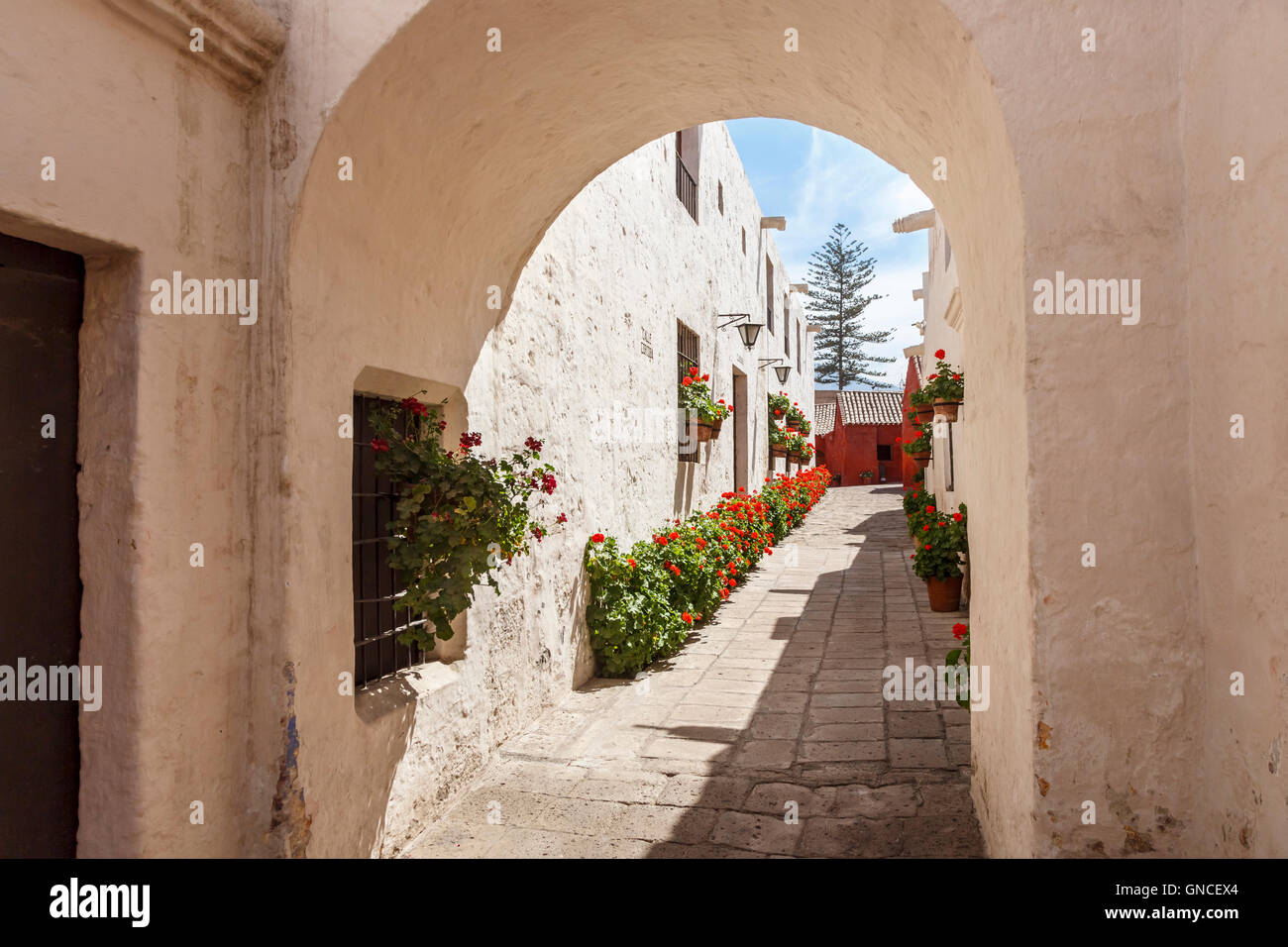 Passaggio rivestita con il rosso dei gerani osservata attraverso un arco imbiancate, Santa Catalina convento in Arequipa, Perù Foto Stock