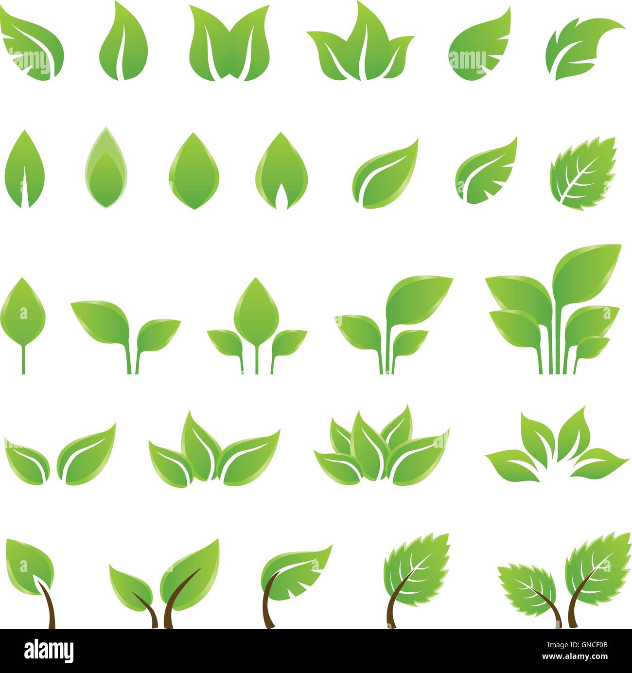 Set di foglie verdi gli elementi di design. Illustrazione Vettoriale