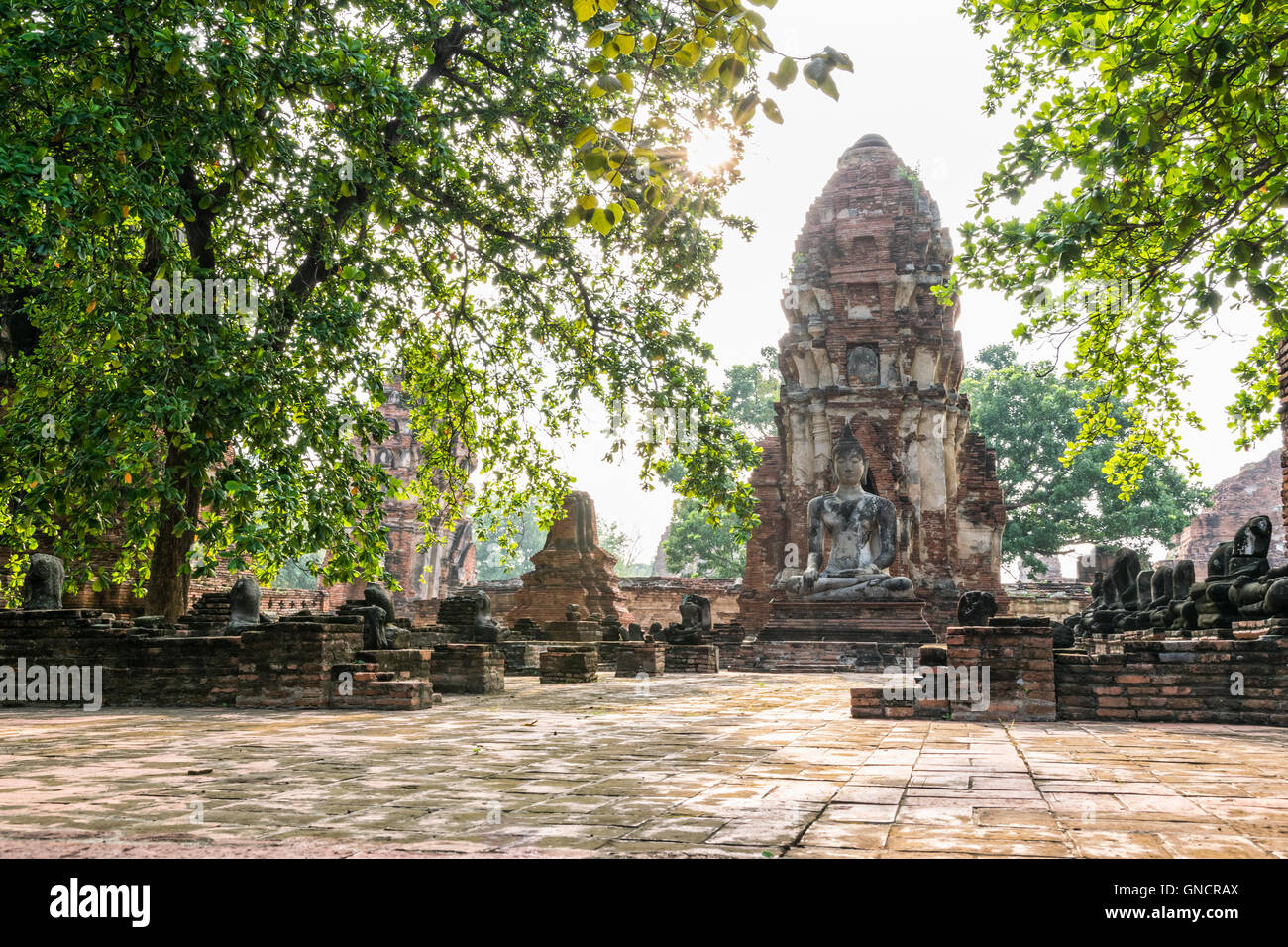 Statua del Buddha seduto sulla parte anteriore della pagoda sotto la luce del sole circondato da alberi e antiche rovine di Wat Phra Mahathat Foto Stock