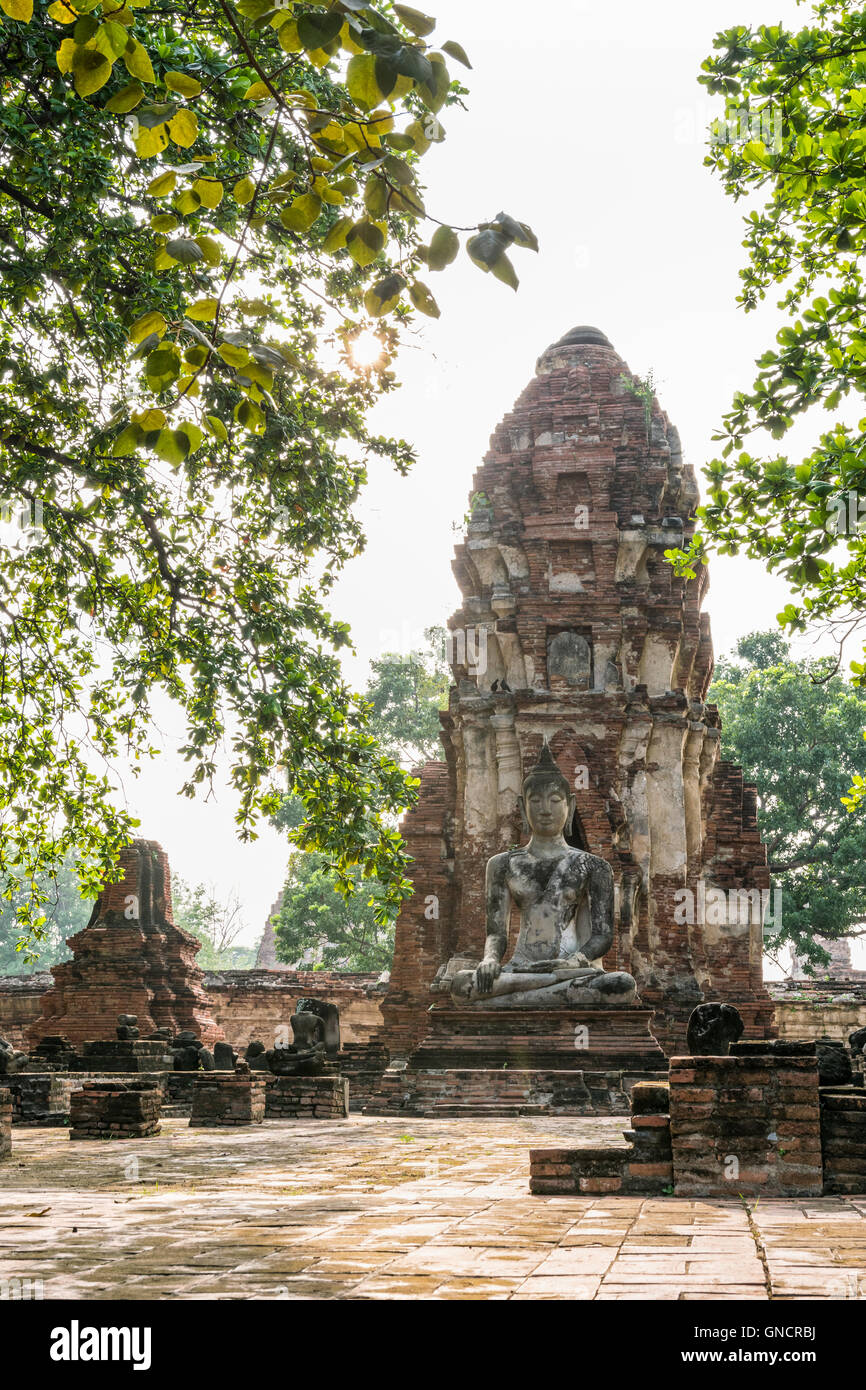 Statua del Buddha seduto sulla parte anteriore della pagoda sotto la luce del sole circondato da alberi e antiche rovine di Wat Phra Mahathat templ Foto Stock