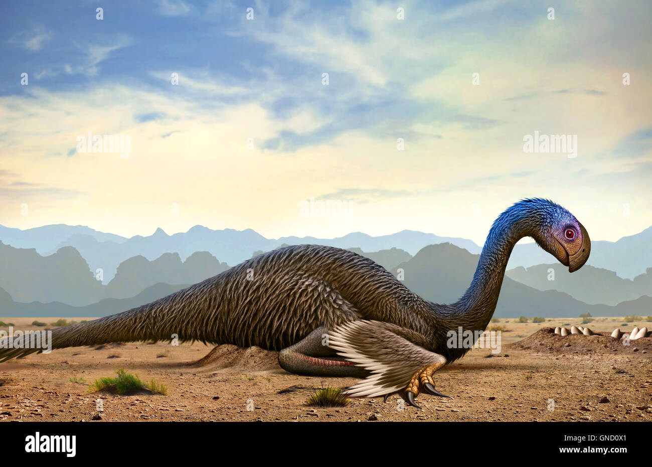 Gigantoraptor, un genere di gigante oviraptorosaurian theropod dinosaur dal Cretaceo Foto Stock